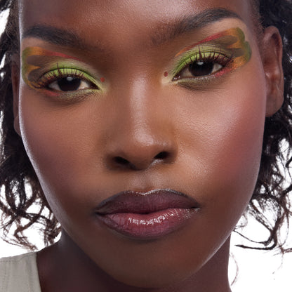 ColourPop X DreamWorks Shrek